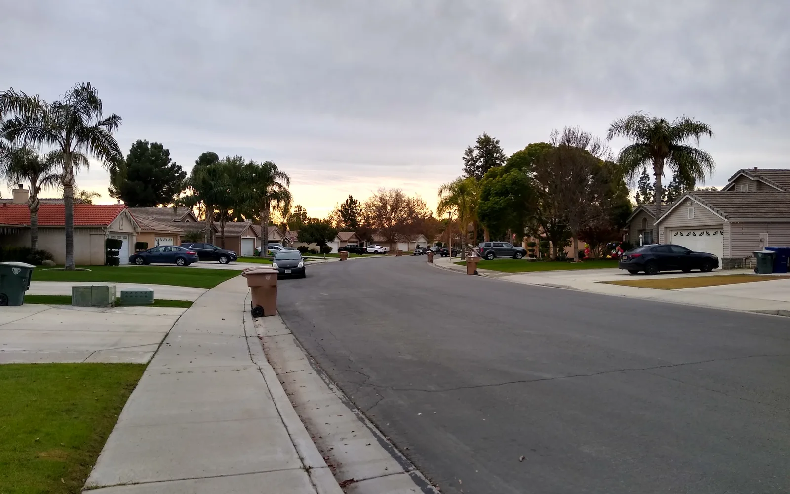 Residential street in a California suburban neighborhood with tree-lined sidewalks and single-family homes
